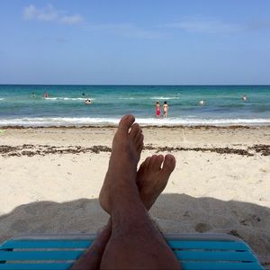 Meet your Posher, Oscar.